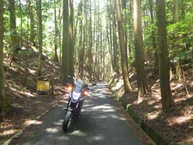 酷道に
