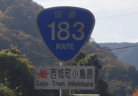国道183号線