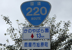 国道220号線