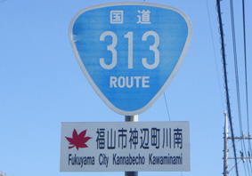 国道313号線