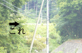 蕨岡